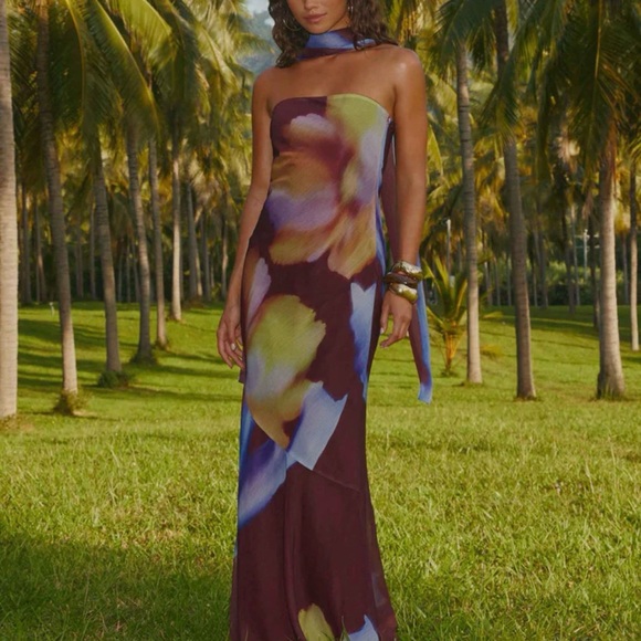 Peppermayo Dresses & Skirts - Under The Pagoda Maxi Dress - Dark Floral